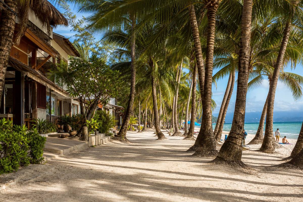Beach path area in Boracay with palm trees and access toward the shore